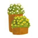 himalayan natives source - Icon