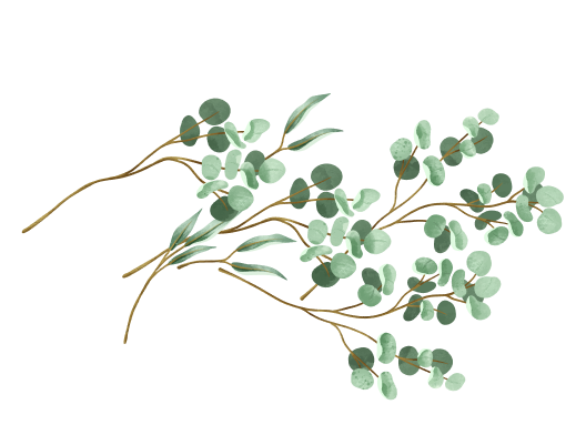 himalayan natives leaf icon 2