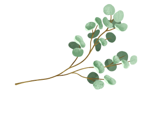 himalayan natives green water abstract - color 7