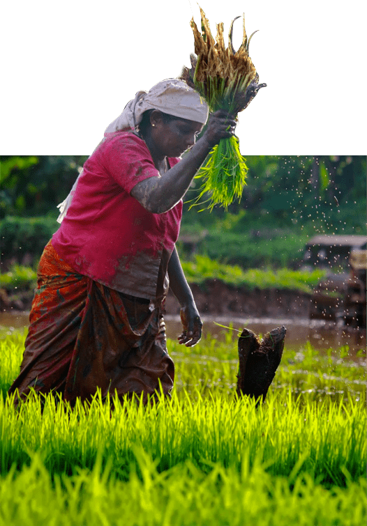 natural farms of himalayan natives