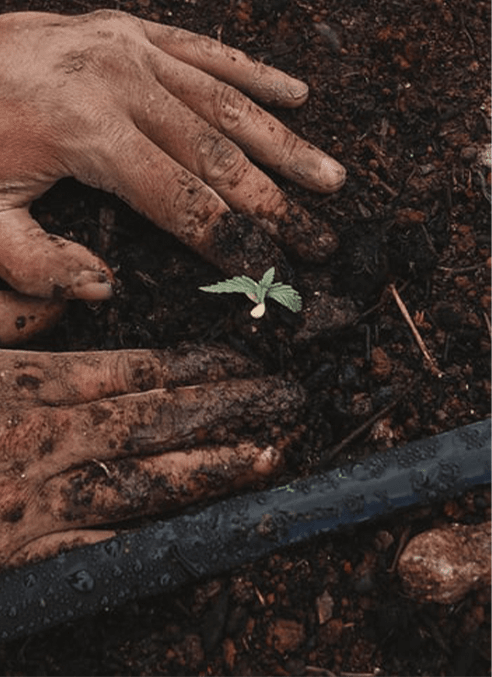 contact us - himalayan natives